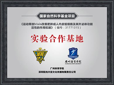 榮譽(yù)證書(shū) 榮譽(yù)證書(shū)