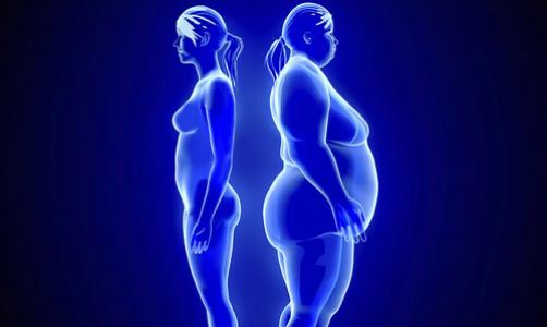 減肥夏令營(yíng)