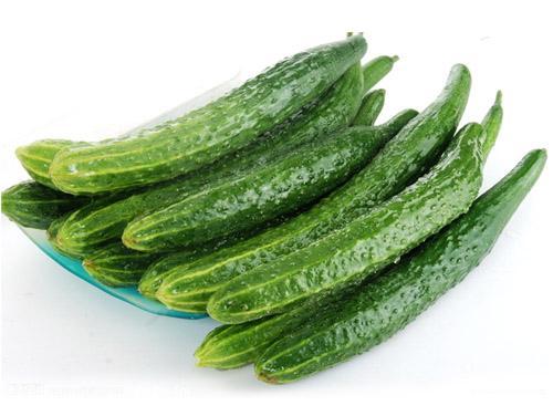 減肥達(dá)人減肥訓(xùn)練營(yíng)