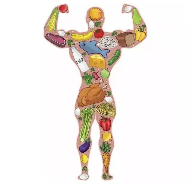 減肥訓(xùn)練營