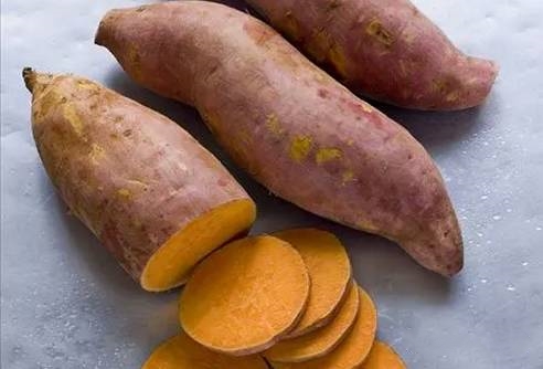 減肥夏令營，深圳減肥夏令營