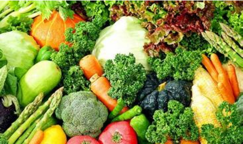 大連減脂訓練營